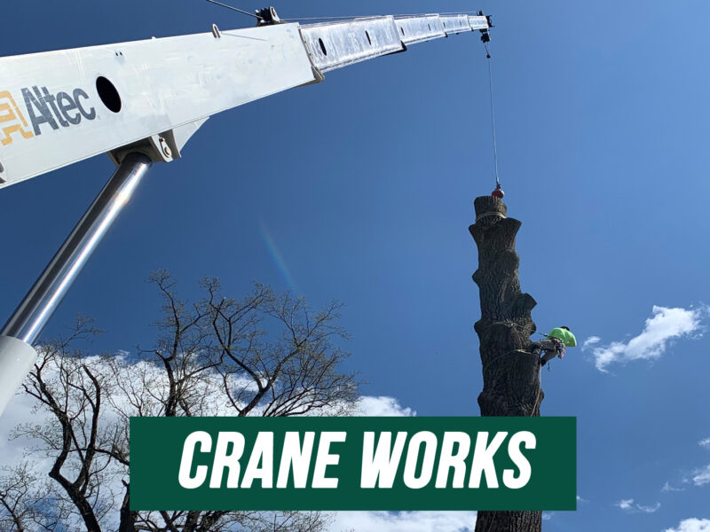 Crane Works