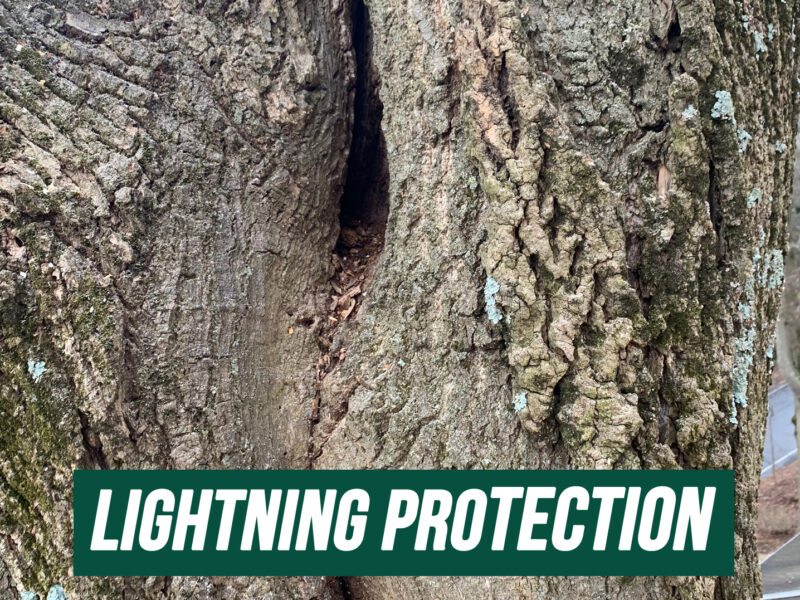 Lightning Protection System