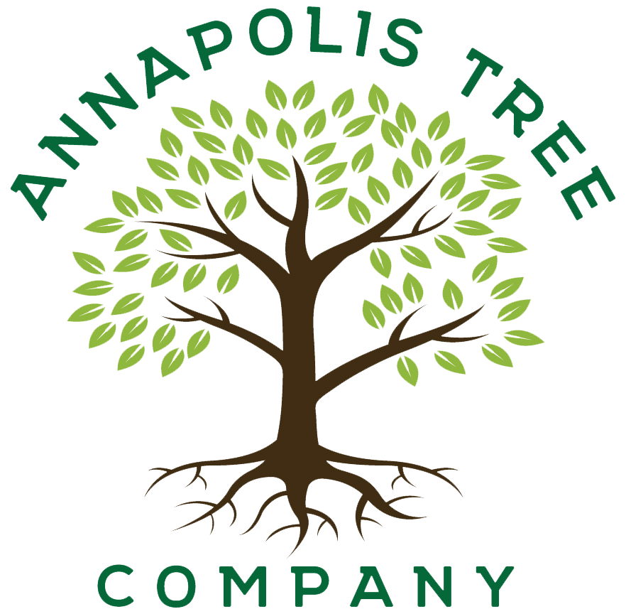 Annapolis Tree Company